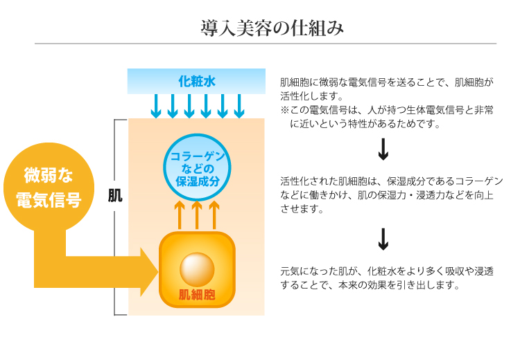 ȩ��˦��������ŵ���������뤳�Ȥǡ�ȩ��˦�����������ޤ������������줿ȩ��˦�ϡ��ݼ���ʬ�Ǥ��륳�顼����ʤɤ�Ư��������ȩ���ݼ��ϡ���Ʃ�Ϥʤɤ���夵���ޤ��������ˤʤä�ȩ�������ѿ����¿���ۼ��俻Ʃ���뤳�Ȥǡ�����θ��̤�����Ф��ޤ���